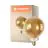 Ledvance Smart+ Wifi E27 G125 8W 600lm - 822-850 Innstillbar Hvit | Dimbar - Erstatter 60W