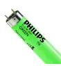 Philips MASTER TL-D 36W - Grønn | 120cm